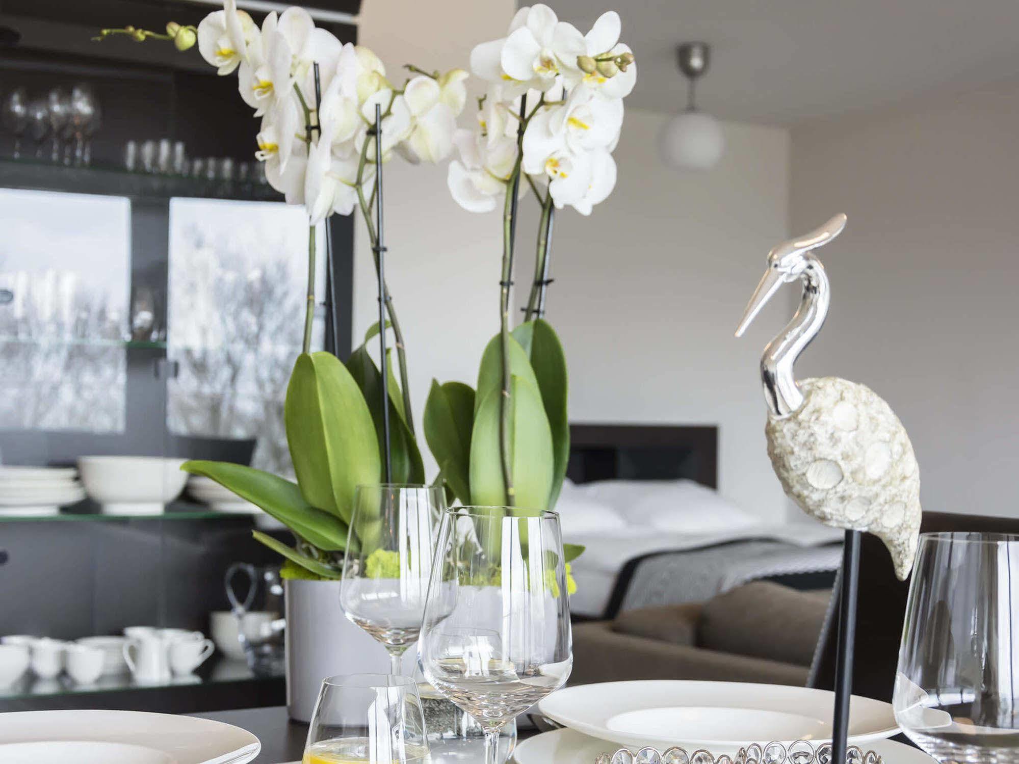 Diune Apartment Kolobrzeg